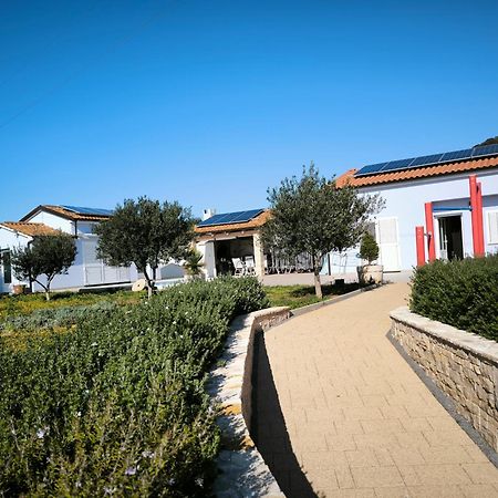 House With Pool Villa Mali Lošinj Eksteriør bilde
